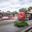 litiga-con-l’autista-e-prende-a-pugni-il-bus