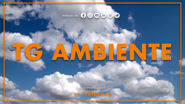 tg-ambiente-–-18/6/2023