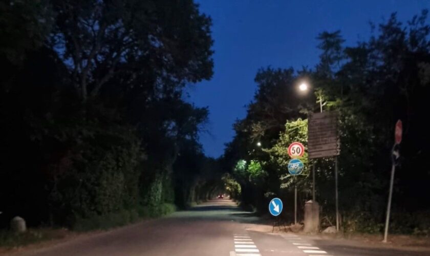 a-palermo-torna-l’illuminazione-nel-parco-della-favorita