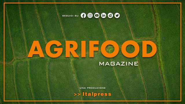 agrifood-magazine-–-28/6/2023