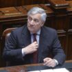 ucraina,-tajani-“non-vedo-all’orizzonte-una-trattativa-di-pace”