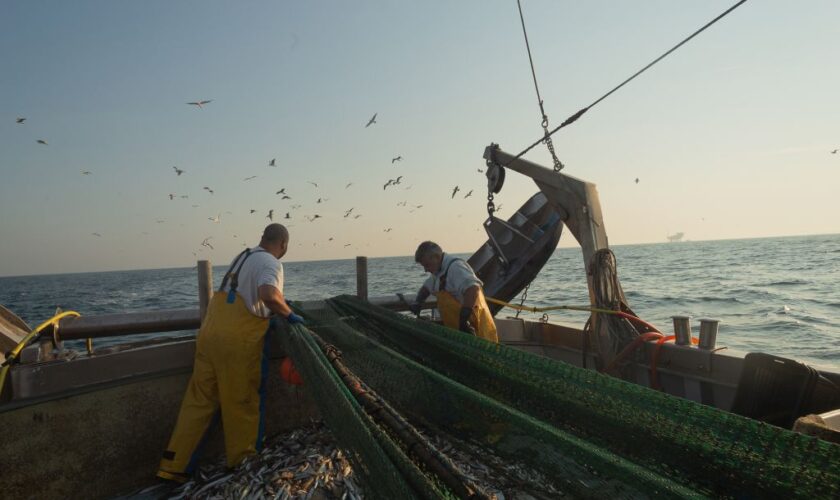 pesca,-malta-esorta-gli-stati-non-ue-ad-adottare-le-stesse-leggi