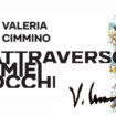 mostra valeria cimmino