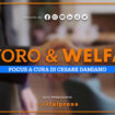 focus-lavoro-&-welfare-–-puntata-del-1-luglio-2023