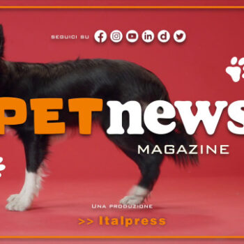 petnews-magazine-–-4/7/2023