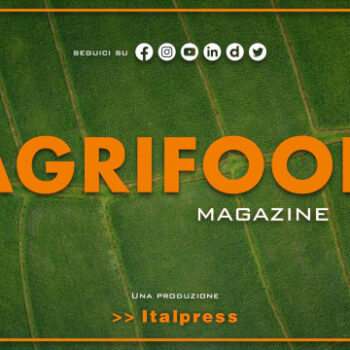 agrifood-magazine-–-5/7/2022