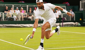 wimbledon,-avanzano-al-secondo-turno-berrettini-e-musetti