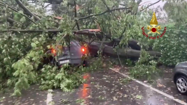 maltempo,-alberi-caduti-e-allagamenti-nel-nord-della-lombardia