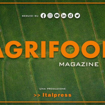 agrifood-magazine-–-12/7/2023