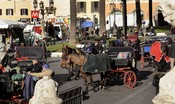 animalisti-contro-vetturini,-il-caldo-riaccende-la-polemica