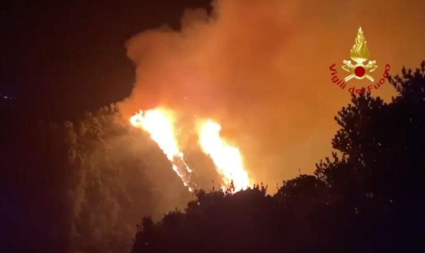 incendi-nel-salento-e-sul-gargano,-emiliano-“attenzione-massima”