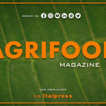 agrifood-magazine-–-26/7/2023