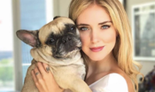 e-morta-mati,-il-cane-di-chiara-ferragni