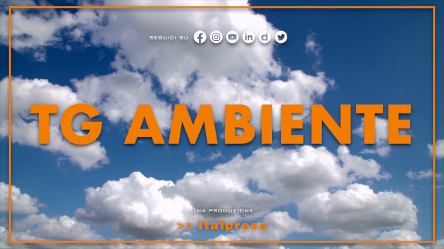 tg-ambiente-–-30/7/2023