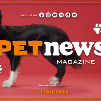 petnews-magazine-–-1/8/2023