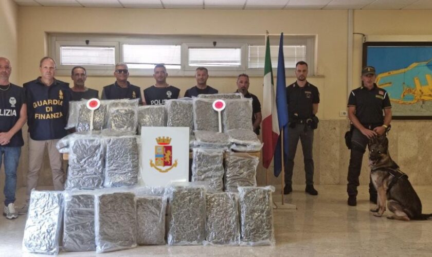 intercettato-al-porto-di-civitavecchia-maxi-carico-di-droga