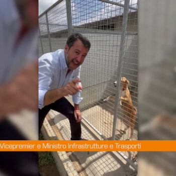 salvini-visita-canile-“importante-aprire-le-porte-ai-cuccioli”