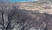 la-sardegna-brucia,-devastati-700-ettari 