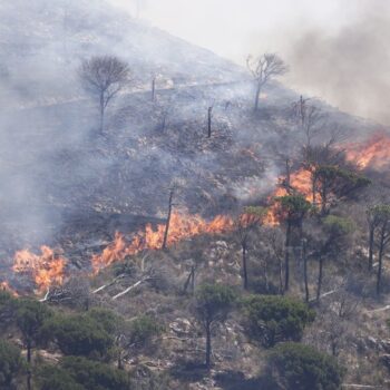 incendi,-santanche-“ampliato-stanziamento-per-sicilia-e-sardegna”