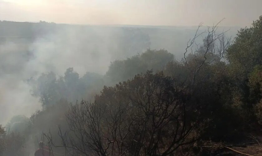 incendio-nel-tarantino,-salvi-30-ettari-di-bosco