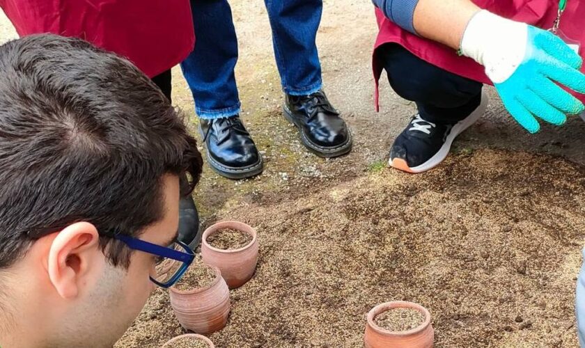 al-via-i-bandi-per-azienda-agricola-pompei-e-“horti-plinii”