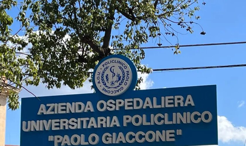 febbre-del-nilo,-a-palermo-confermata-l’infezione-su-un-54enne