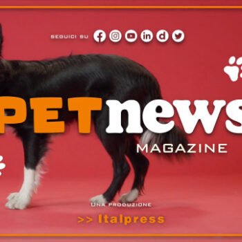 petnews-magazine-–-29/8/2023