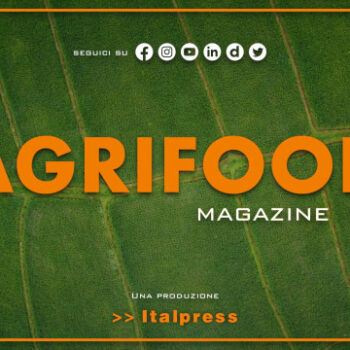 agrifood-magazine-–-30/8/2023