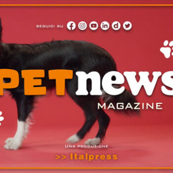 petnews-magazine-–-12/9/2023