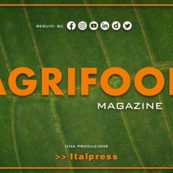 agrifood-magazine-–-13/9/2023