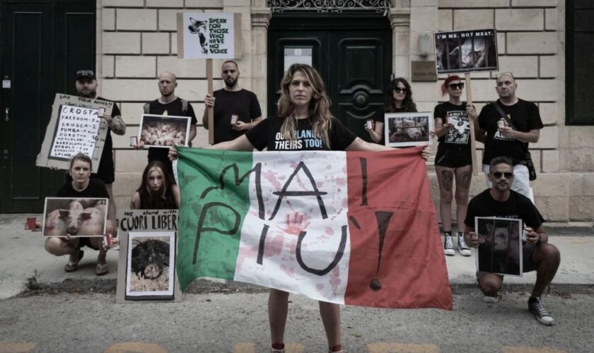 malta,-protest-against-the-killing-of-pigs-in-lombardy