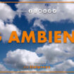 tg-ambiente-–-8/10/2023