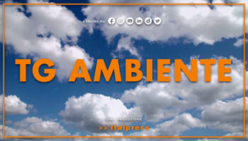 tg-ambiente-–-8/10/2023