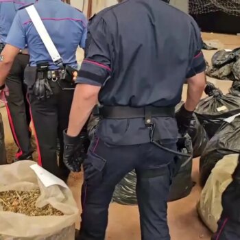 sequestrate-nel-reggino-tre-tonnellate-di-cannabis