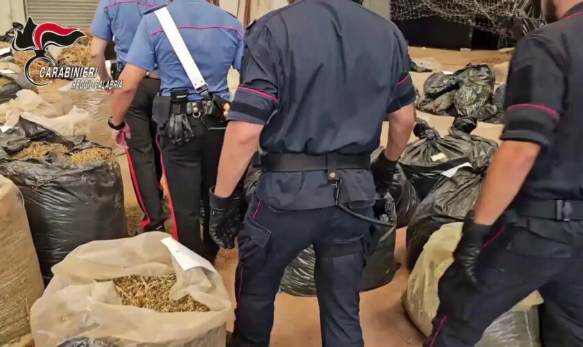 sequestrate-nel-reggino-tre-tonnellate-di-cannabis