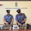 i-carabinieri-cercano-armi-e-trovano-17-chili-di-droga,-56enne-arrestato-nel-ragusano