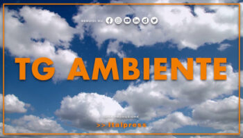 tg-ambiente-–-15/10/2023