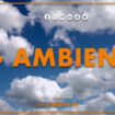 tg-ambiente-–-29/10/2023