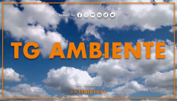 tg-ambiente-–-29/10/2023