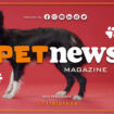 petnews-magazine-–-31/10/2023