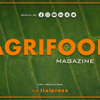 agrifood-magazine-–-1/11/2023