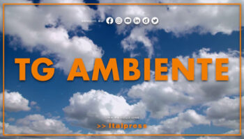 tg-ambiente-–-5/11/2023