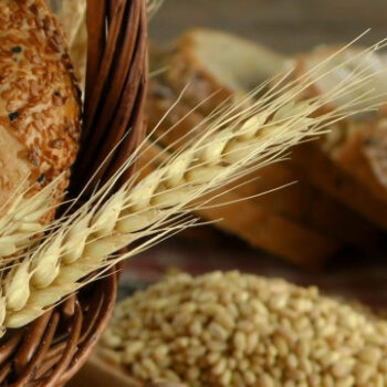 una-cabina-di-regia-per-i-controlli-sull’import-del-grano-duro