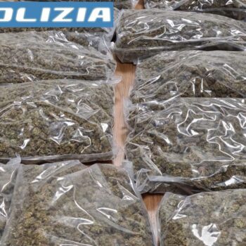 monza,-un-arresto-per-detenzione-a-fini-spaccio-di-15-kg-di-marijuana