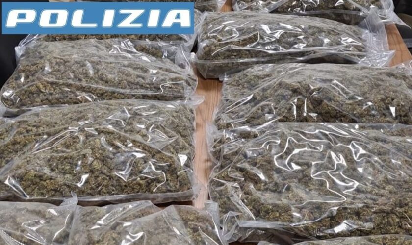 monza,-un-arresto-per-detenzione-a-fini-spaccio-di-15-kg-di-marijuana