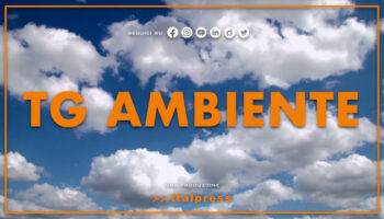 tg-ambiente-–-12/11/2023