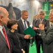 fieracavalli,-confagricoltura-“urgente-rilanciare-la-filiera-equina-italiana”