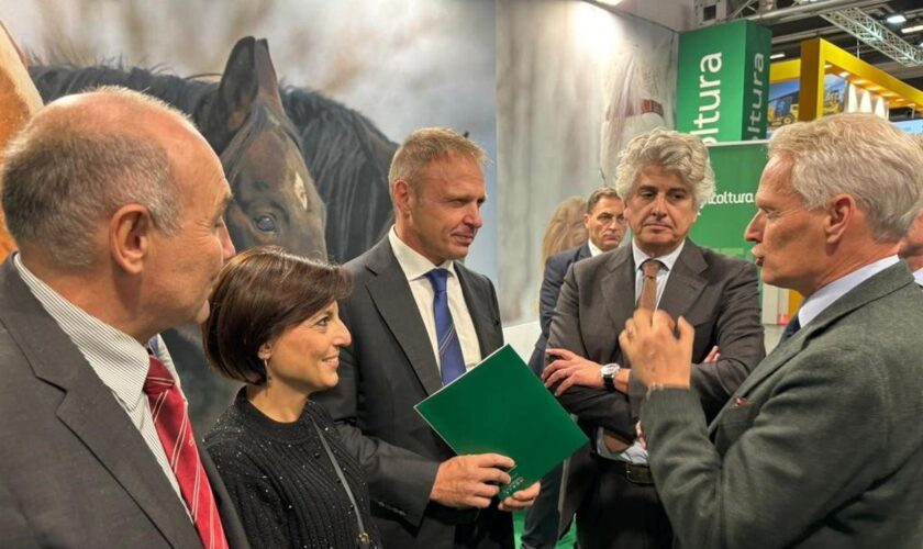 fieracavalli,-confagricoltura-“urgente-rilanciare-la-filiera-equina-italiana”