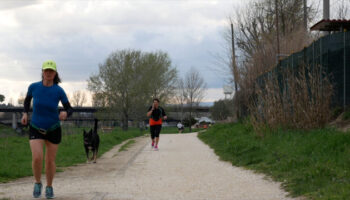 cinofilia-sportiva,-fidasc-a-sostegno-del-“cane-atleta”