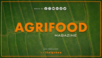 agrifood-magazine-–-15/11/2023